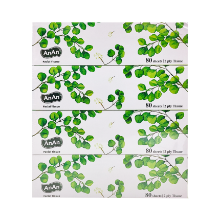 AN AN 2PLY Facial Tissue 4X80S
