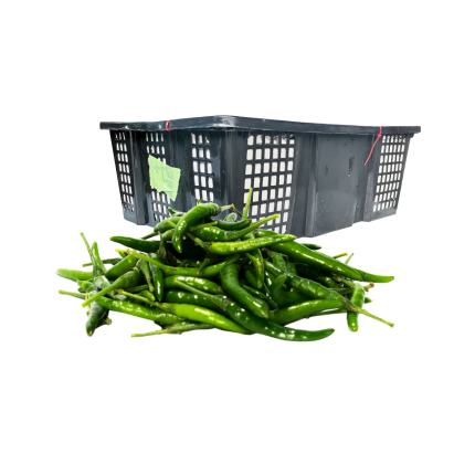 Cili Padi Akar 7kg ± (Carton)