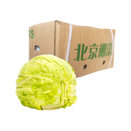 Kobis Bulat Beijing 10kg± (Carton)